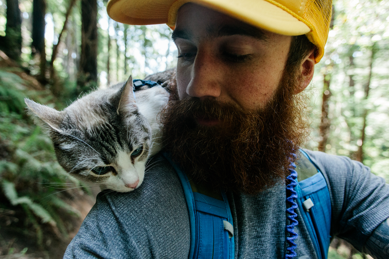 Illustration for article titled How To Take Your Cat Camping